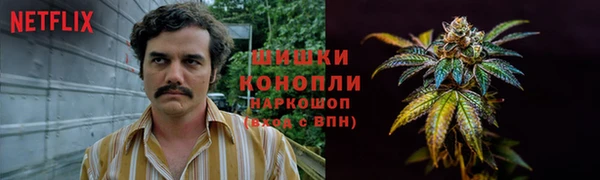 мяу мяу мука Богданович