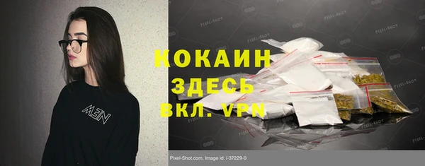 шишки Беломорск
