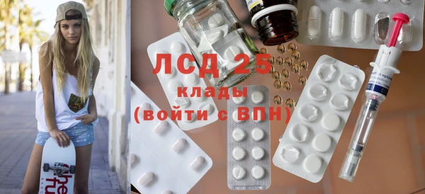 шишки Беломорск