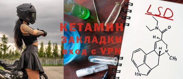шишки Беломорск