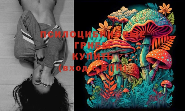 мяу мяу мука Богданович