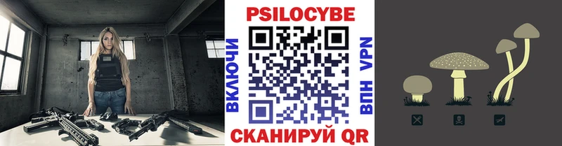 что такое Олёкминск Галлюциногенные грибы Cubensis